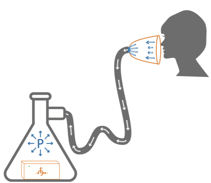 Measuring Forced Vital Capacity with PocketLab Spirometer PocketLab